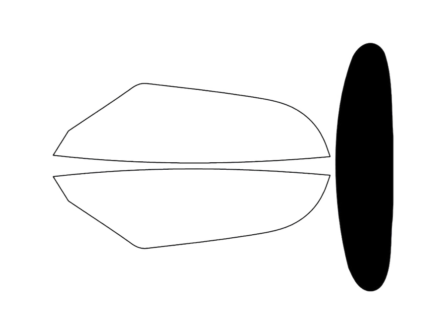 Rear Windshield - 5%