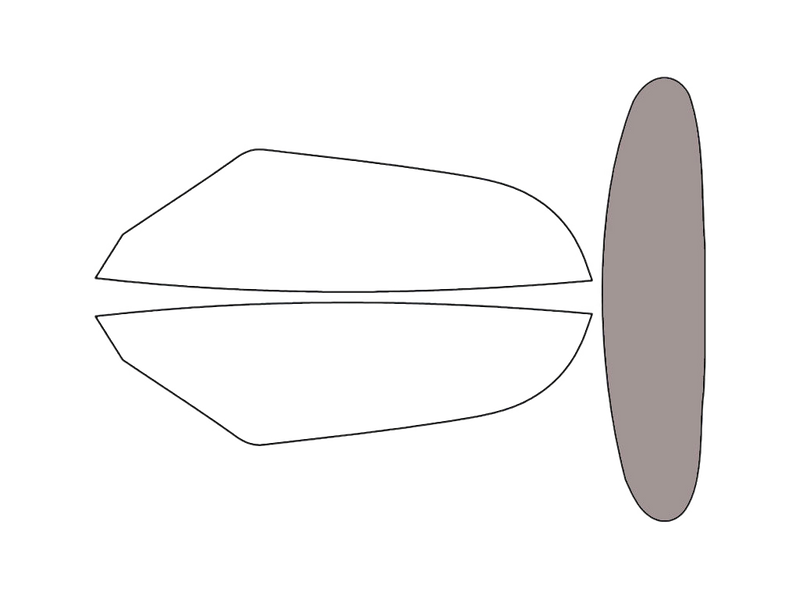 Rear Windshield - 50%