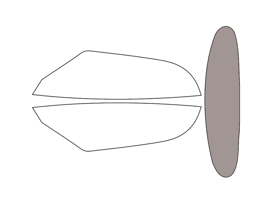 Rear Windshield - 50%