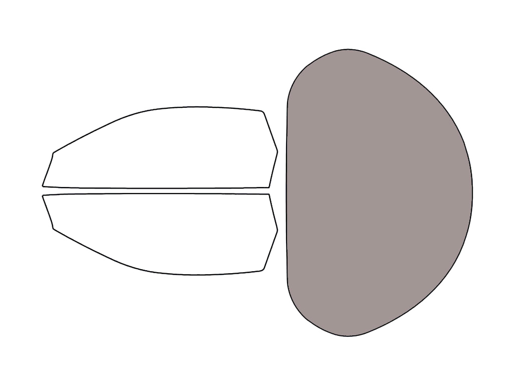 Rear Windshield - 45%
