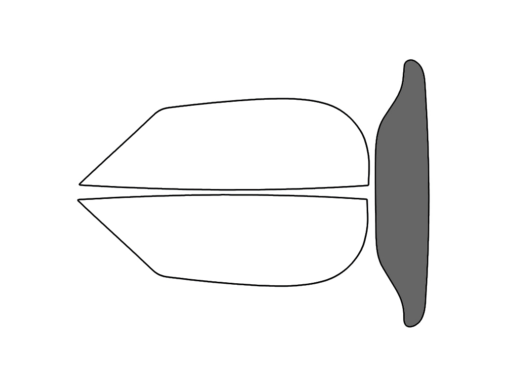 Rear Windshield - 30%