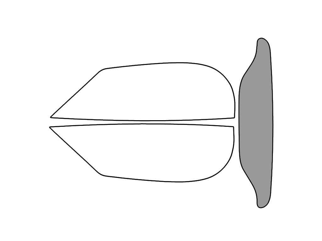 Rear Windshield - 50%