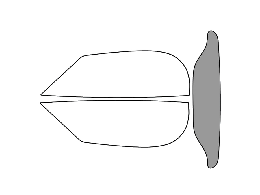 Rear Windshield - 50%