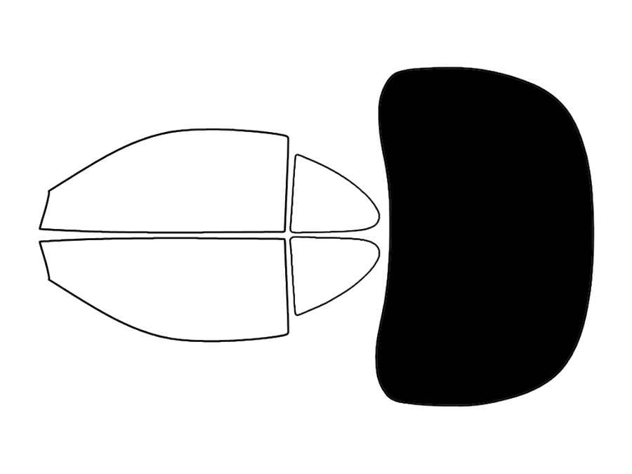 Rear Windshield - 5%