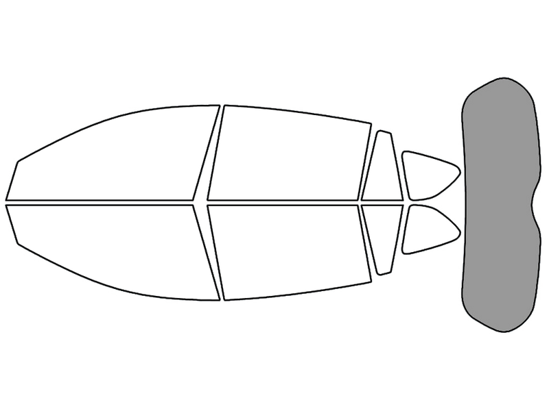 Rear Windshield - 50%