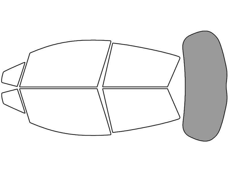 Rear Windshield - 45%