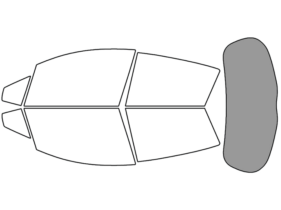 Rear Windshield - 45%