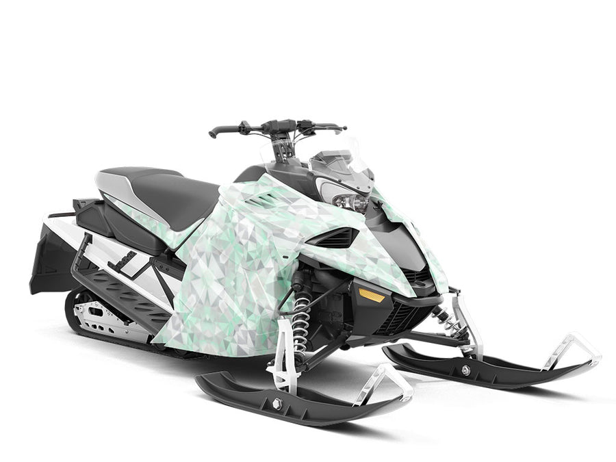 Algal Layer Tile Custom Wrapped Snowmobile