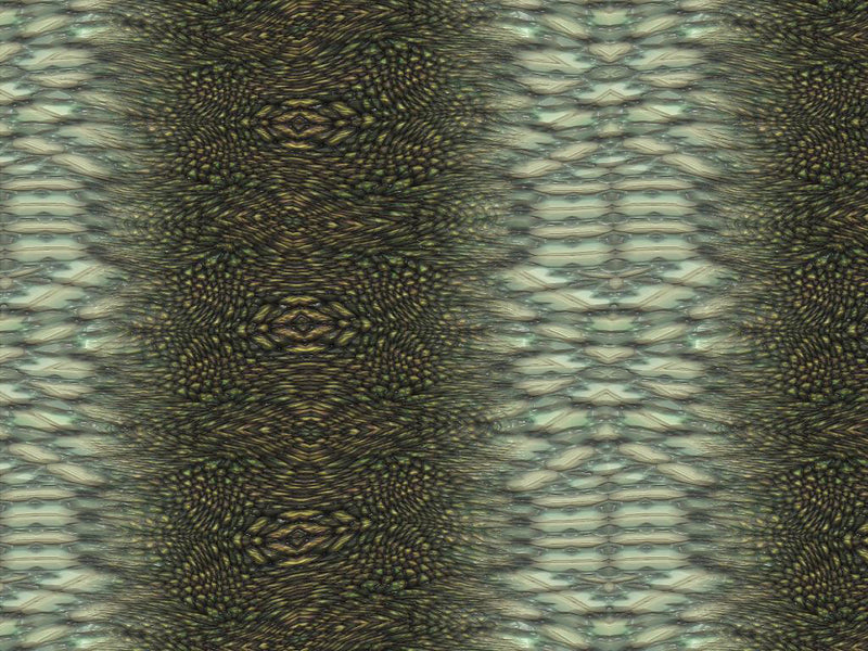 Anaconda Snake Vinyl Wrap Pattern~Rwraps Series 914 Digitally Printed Vinyl Wrap~0