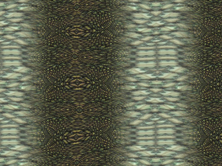 Anaconda Snake Vinyl Wrap Pattern~Rwraps Series 914 Digitally Printed Vinyl Wrap~0