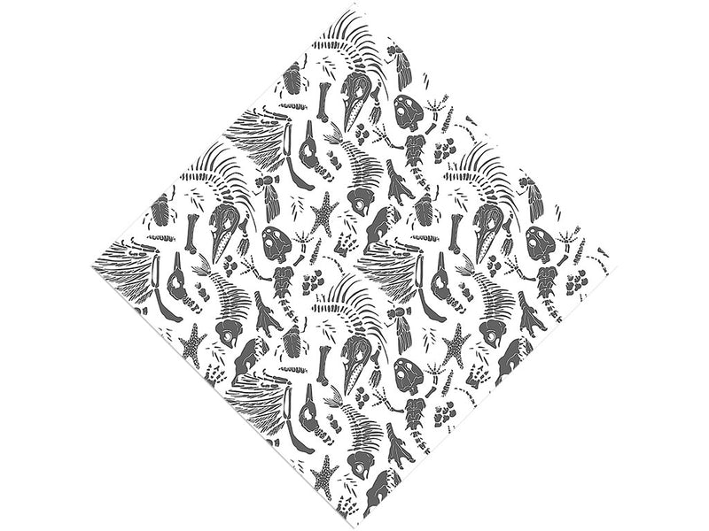 Archeological Remains Dinosaur Vinyl Wrap Pattern