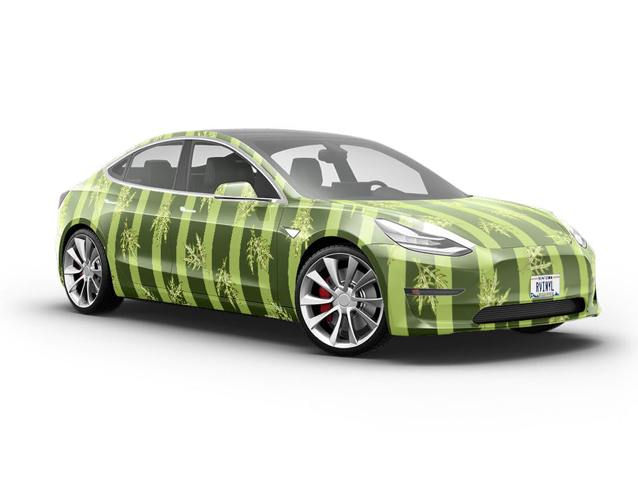 Astro Arugula Vegetable Vehicle Vinyl Wrap