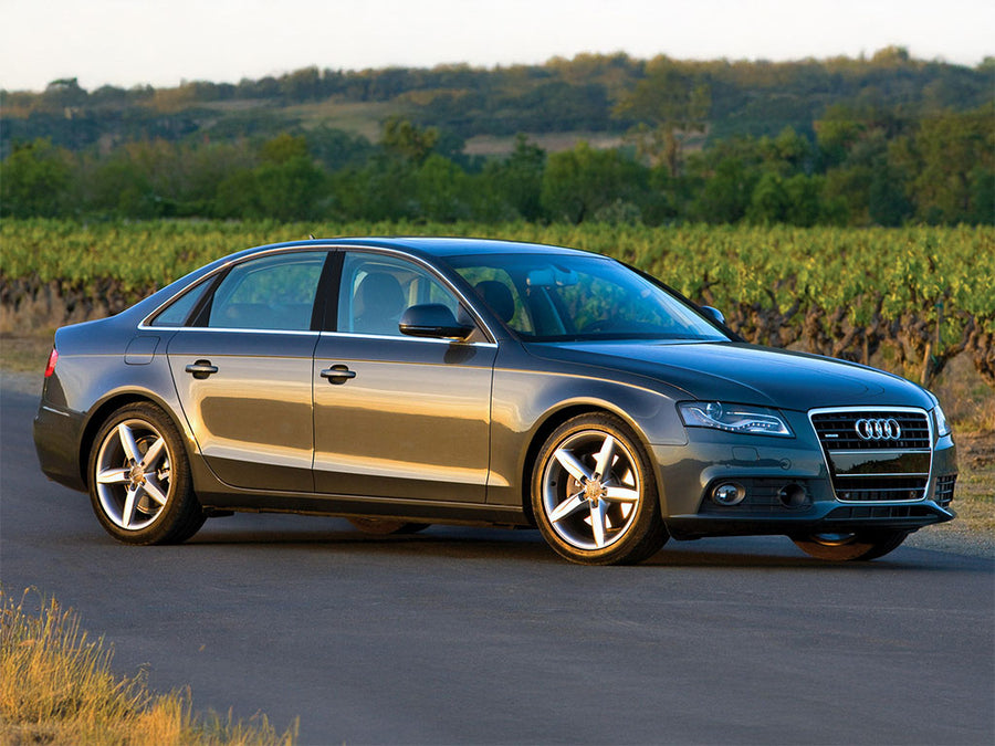 audi a4 2002-2008 (sedan - wagon - allroad) Carbon Fiber Pillar Trim