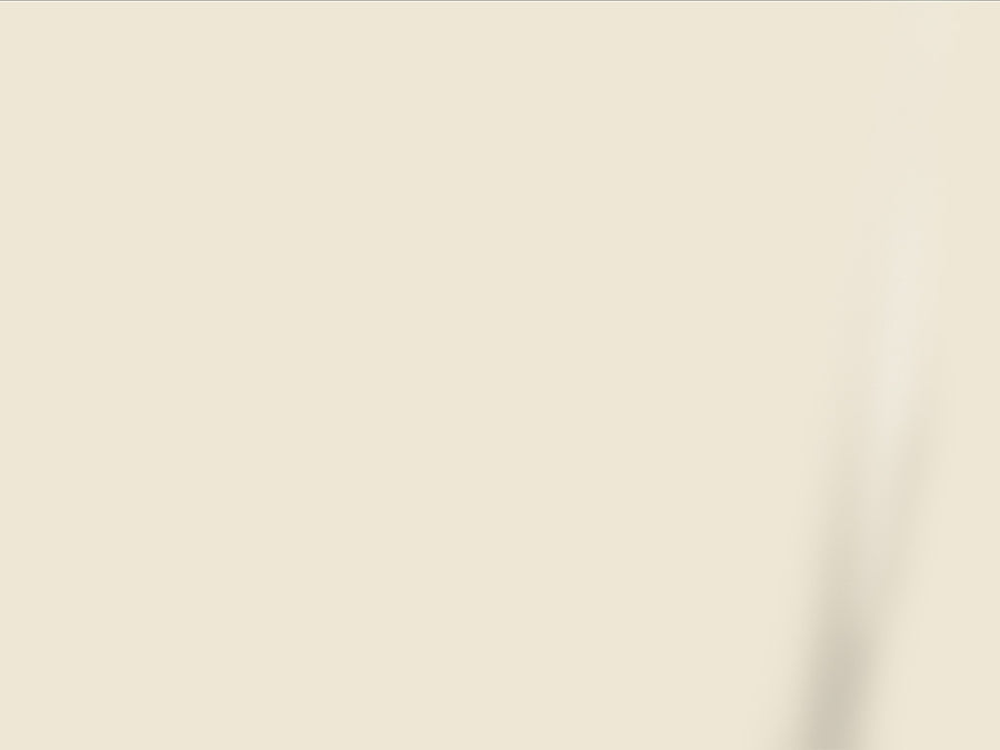 Avery Dennison HP750 High Performance Vinyl Film Matte Clear