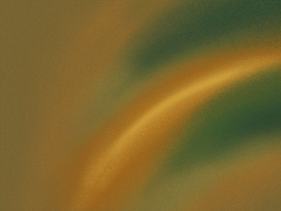 Avery Dennison™ SW900 Travel Trailer Wraps
