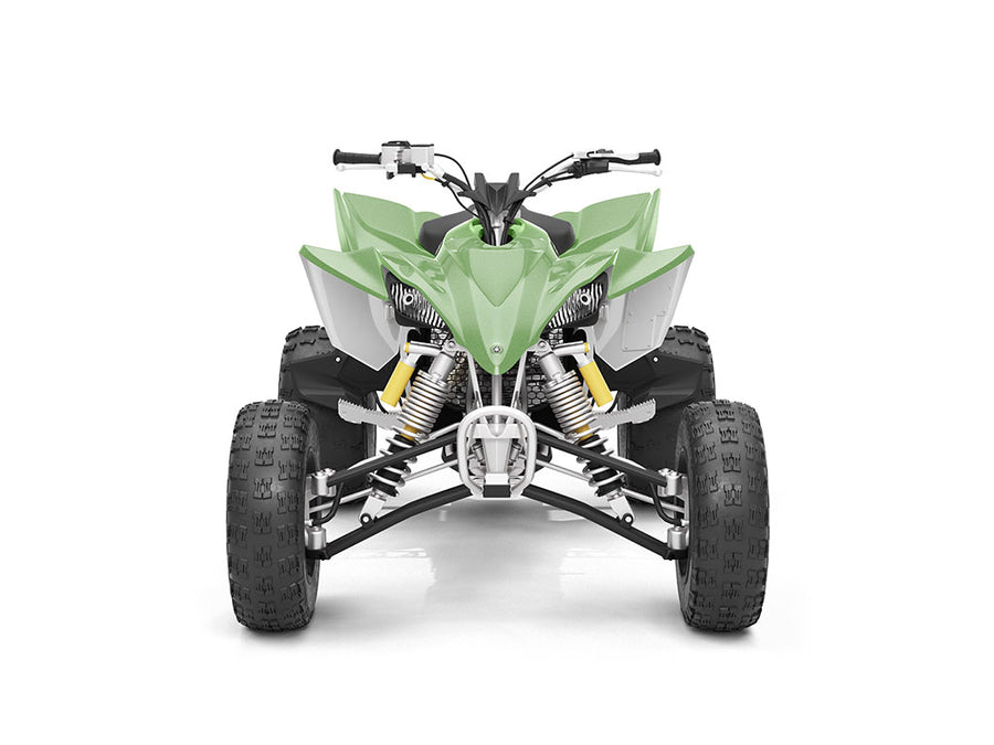 Avery Dennison SW900 Matte Metallic Green Apple DIY ATV Wraps