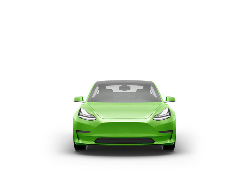 Avery Dennison SW900 Gloss Grass Green DIY Car Wraps