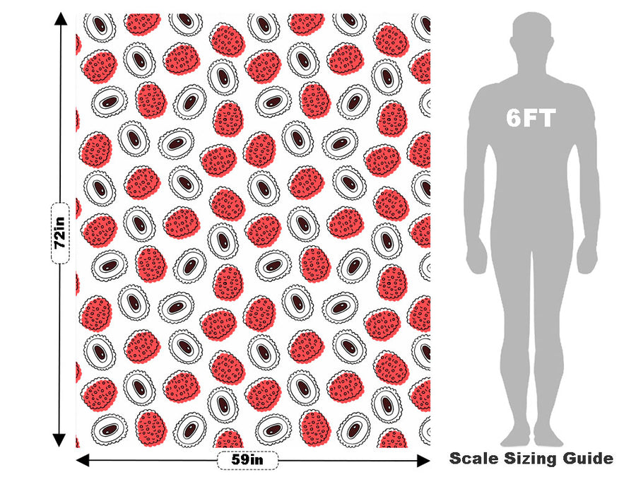 Bengal Bite Fruit Vehicle Wrap Scale~Rwraps Series 914 Bengal Bite Fruit Measurements~1