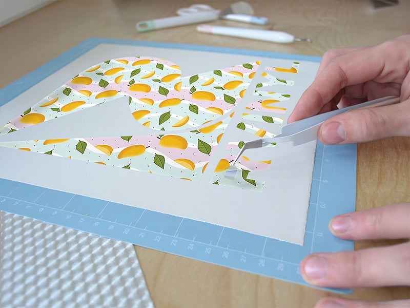beverly bites fruit Easy Weed Craft Vinyl