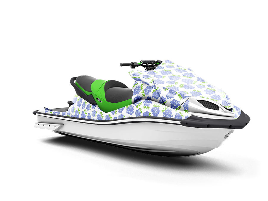 Bite-Size Bubbles Fruit Jet Ski Vinyl Customized Wrap