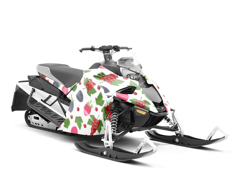 Bite Sized Fruit Custom Wrapped Snowmobile