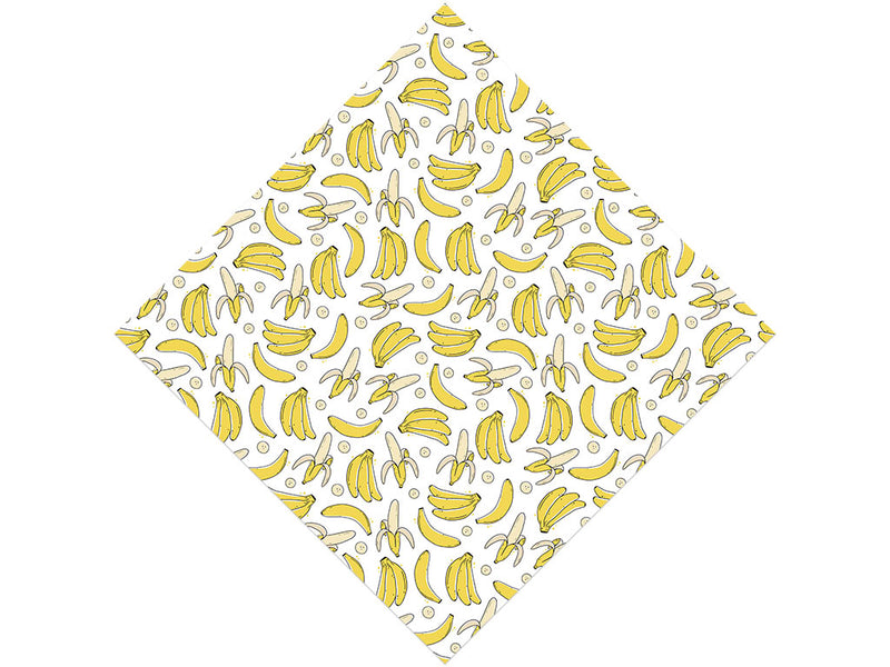 Bold Burro Fruit Vinyl Wrap Pattern