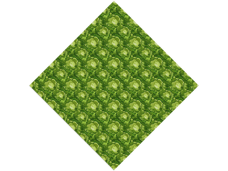 Boston Butterhead Vegetable Vinyl Wrap Pattern