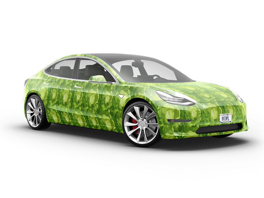 Boston Butterhead Vegetable Vehicle Vinyl Wrap
