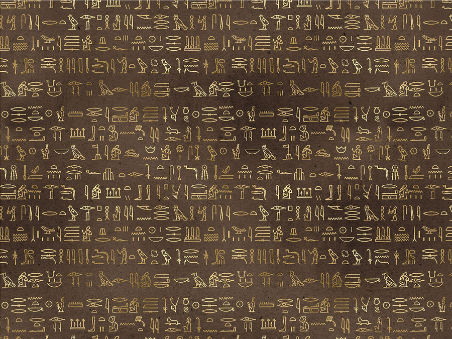 Brown Hieroglyphs Egyptian Vinyl Wrap Pattern~Rwraps Series 914 Digitally Printed Vinyl Wrap~0