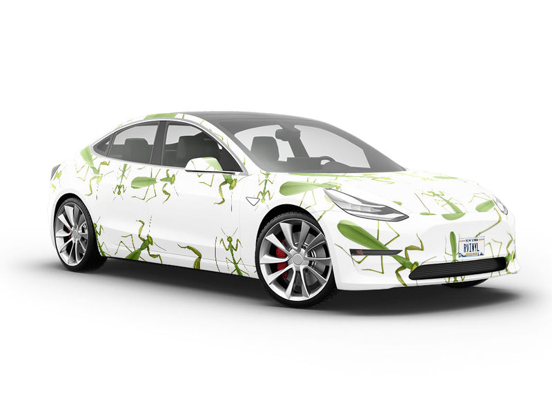 Brutal Boxers Bug Vehicle Vinyl Wrap