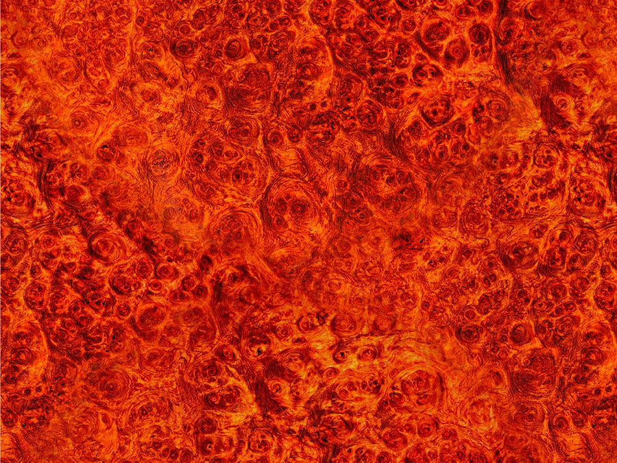 Burma Padauk-Burlwood Woodgrain Vinyl Wrap Pattern~Rwraps Series 914 Digitally Printed Vinyl Wrap~0