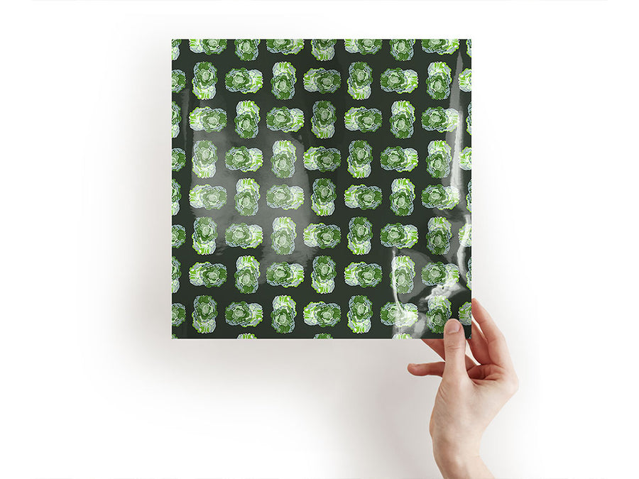 buttercrunch butterhead vegetable Craft Sheets