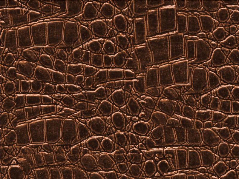 Caribbean Caiman Crocodile Vinyl Wrap Pattern~Rwraps Series 914 Digitally Printed Vinyl Wrap~0
