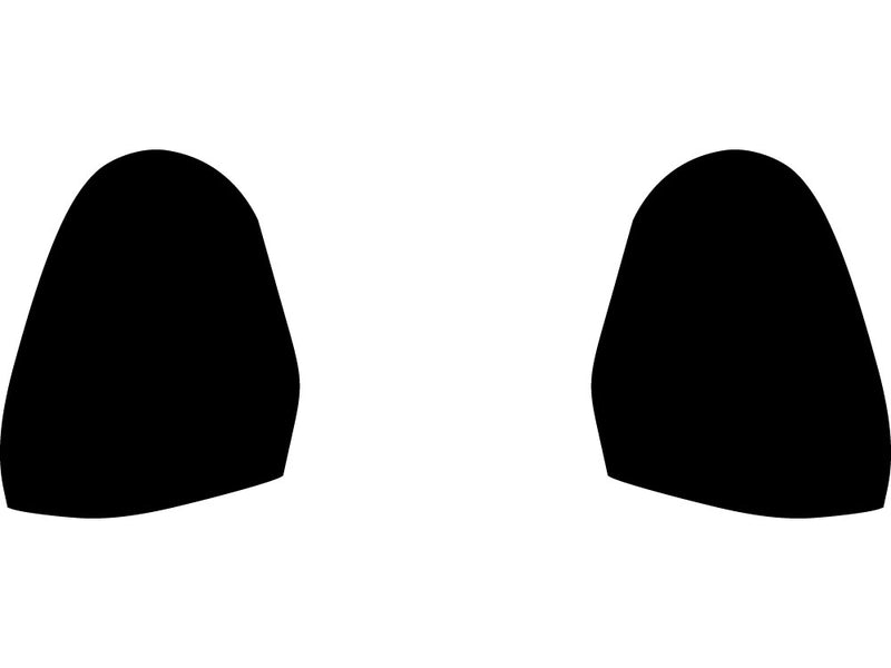 monte carlo Precut Tail Light Tint Diagram