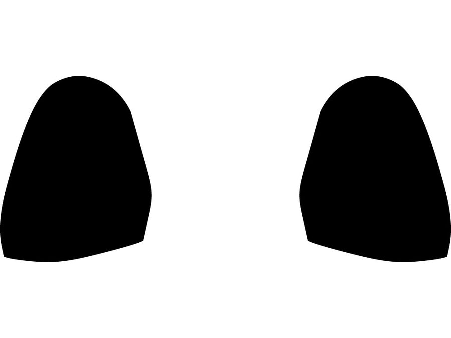 monte carlo Precut Tail Light Tint Diagram