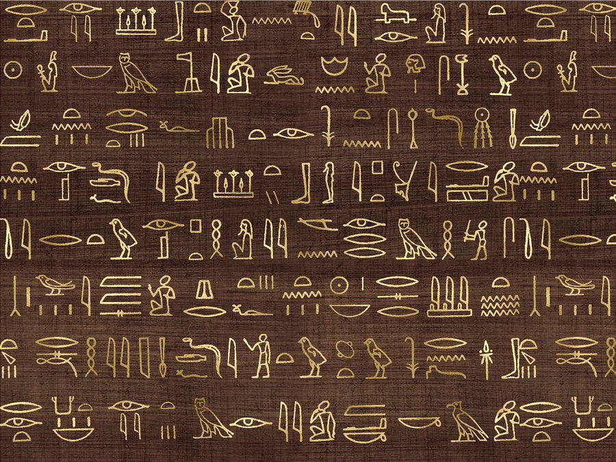 Coffee Hieroglyphs Egyptian Vinyl Wrap Pattern~Rwraps Series 914 Digitally Printed Vinyl Wrap~0