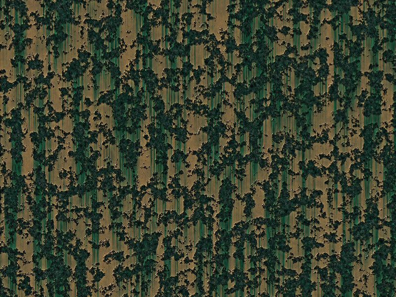 Contaminated Forest Rust Vinyl Wrap Pattern~Rwraps Series 914 Digitally Printed Vinyl Wrap~0