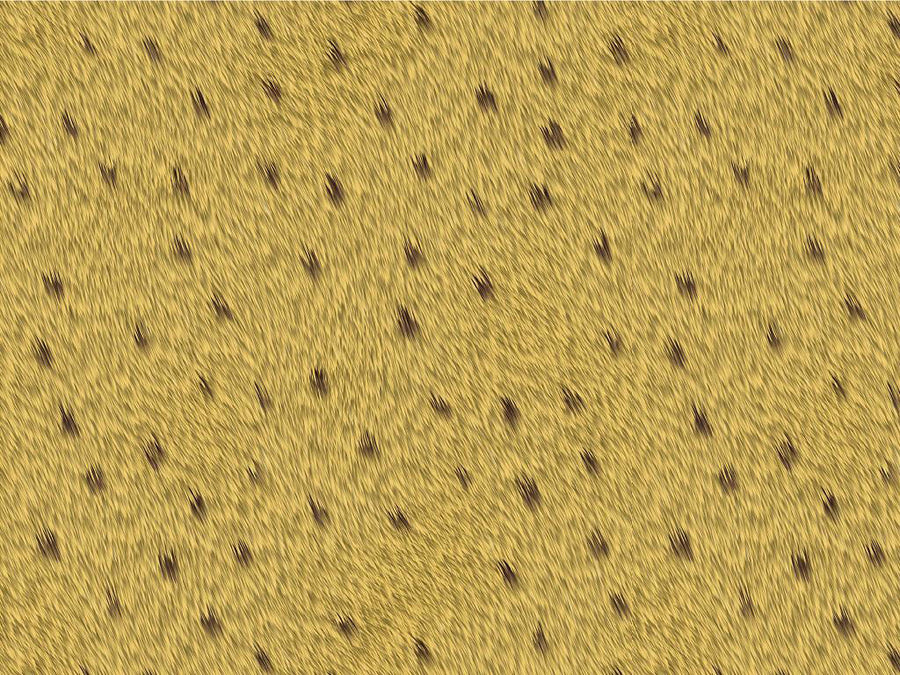 Cyber Dwarf-Cheetah Cheetah Vinyl Wrap Pattern~Rwraps Series 914 Digitally Printed Vinyl Wrap~0