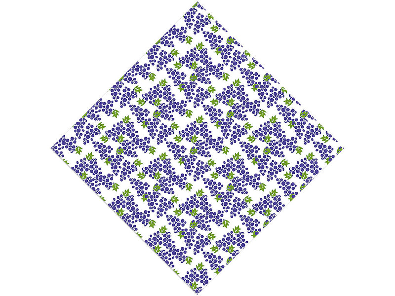 Dionysian Offerings Fruit Vinyl Wrap Pattern