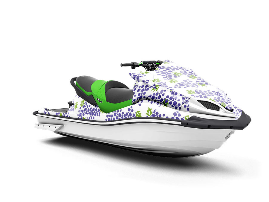 Dionysian Offerings Fruit Jet Ski Vinyl Customized Wrap