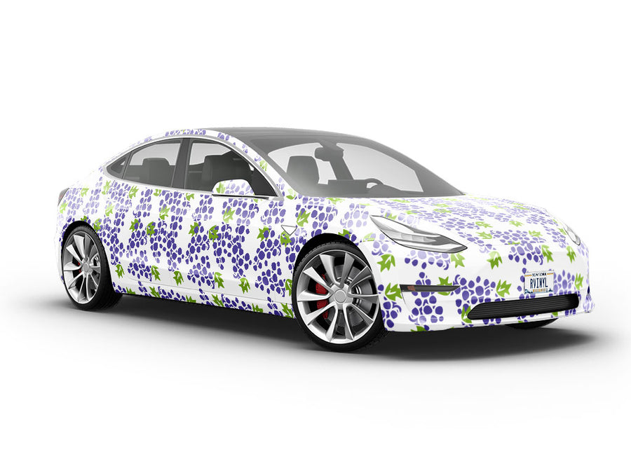 Dionysian Offerings Fruit Vehicle Vinyl Wrap