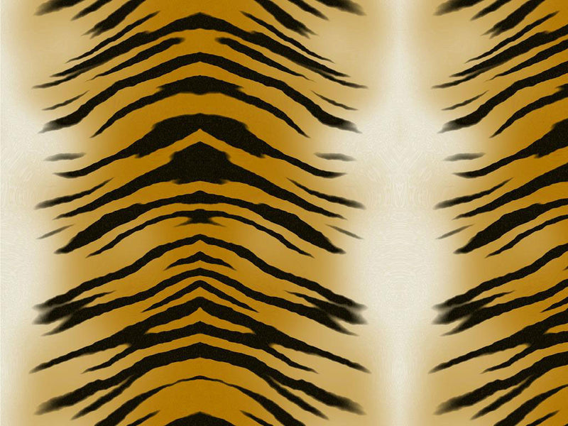 Dojo Tiger Vinyl Wrap Pattern~Rwraps Series 914 Digitally Printed Vinyl Wrap~0