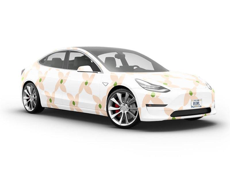 Doll Valley Retro Vehicle Vinyl Wrap