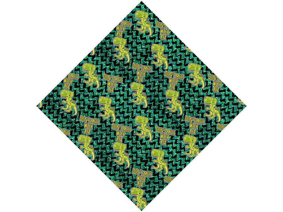 Dont Mess Dinosaur Vinyl Wrap Pattern