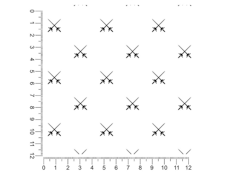 dual rapiers sport 1ft x 1ft Craft Sheets