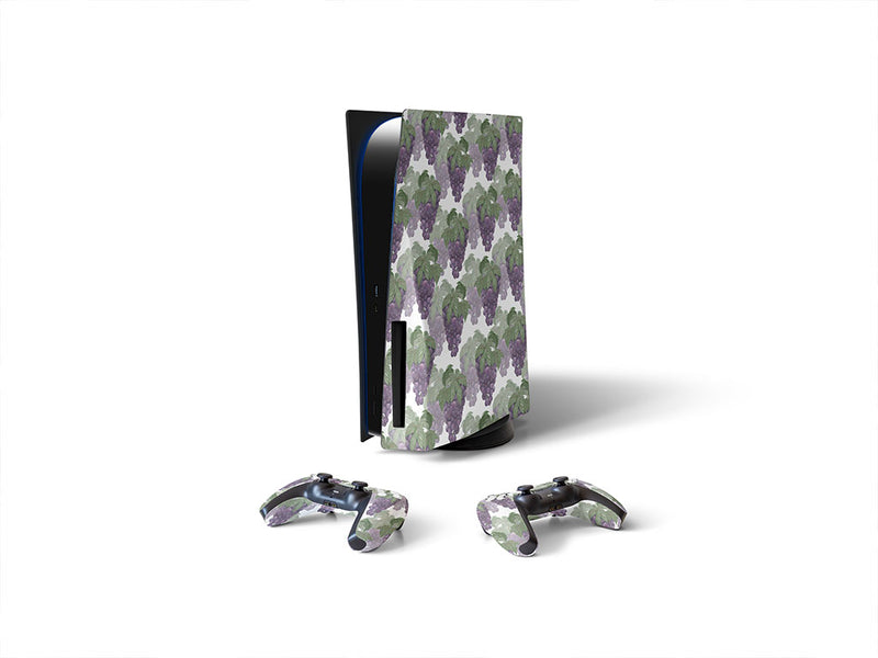 ebony star fruit Sony PS5 DIY Skin