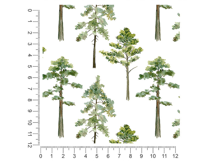 elegant evergreens camping 1ft x 1ft Craft Sheets