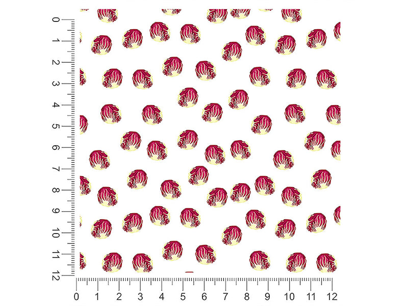 fiero radicchio vegetable 1ft x 1ft Craft Sheets