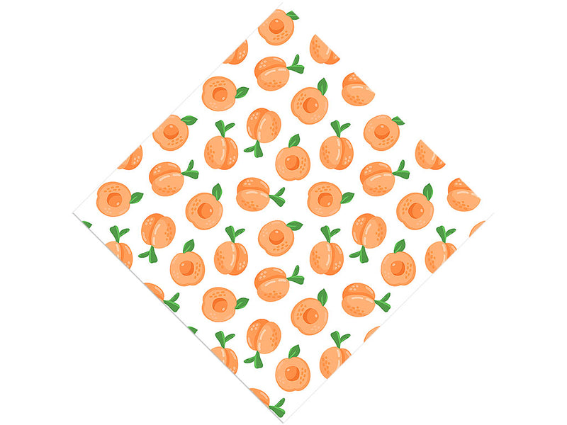 Florida Dawn Fruit Vinyl Wrap Pattern