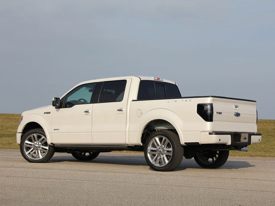 f-150 Blackout Tail Light TInt~1~0
